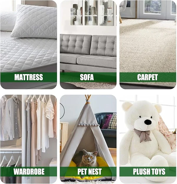 South Moon – Green Prickly Ash Mint Removal